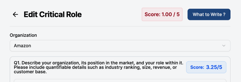 AI Critique Model interface